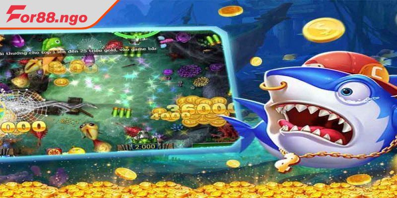 Phần thưởng hấp dẫn đa dạng hút ngư thủ